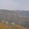 dsc_0103_000.jpg
