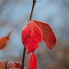 img_2259.jpg