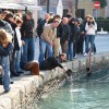 a_strunjan_b_065.jpg