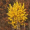 img_2292.jpg