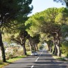 a_dsc_0385.jpg