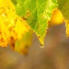 img_2272.jpg