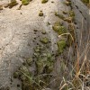img_2319.jpg