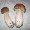 like_do_11_11_2011_017.jpg