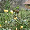 encijan_010.jpg