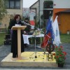 log_bogatej__i_ne_le_za_novo_kanalizacijo004.jpg