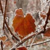 img_0047.jpg