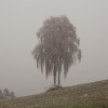img_0063.jpg