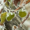 img_0035.jpg