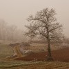 img_0066.jpg