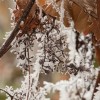 img_0031.jpg