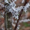 img_0049.jpg