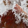 img_0024.jpg