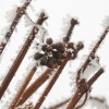 img_0054.jpg