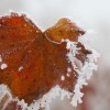 img_0028.jpg