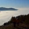 dsc_0088_000.jpg