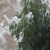 img_0056.jpg