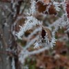img_0046.jpg