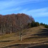 dsc_0052_000.jpg