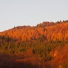 img_0014.jpg