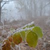 dsc_0108_000.jpg
