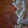 img_0044.jpg