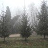 dscn1568_000.jpg