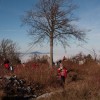 img_2474.jpg