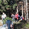 img_2466.jpg