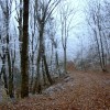 pb200013_000.jpg