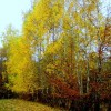 pb120031_000.jpg