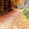 dscn3588_000.jpg