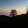 sonce_020.jpg