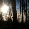 sonce_002.jpg