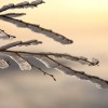 img_0154.jpg