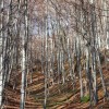 img_0177.jpg