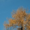 img_0173.jpg