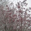 img_6550_000.jpg