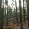 img_2927.jpg