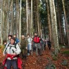 img_2922.jpg