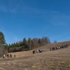 img_2960.jpg