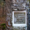 img_2979.jpg