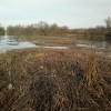 04122011295.jpg