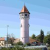 brezice.jpg
