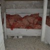 kmetija030.jpg
