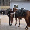 sr_revm_9_12_11_006.jpg