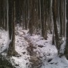 gorjanci_004.jpg