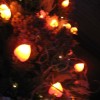 img_4542.jpg