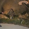 moto_klub_posavje_blagoslovil_jaslice_in_nove_prostore019.jpg