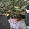 img_4114_000.jpg